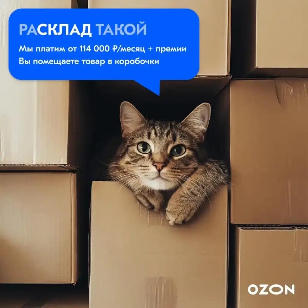 Изображение слайда