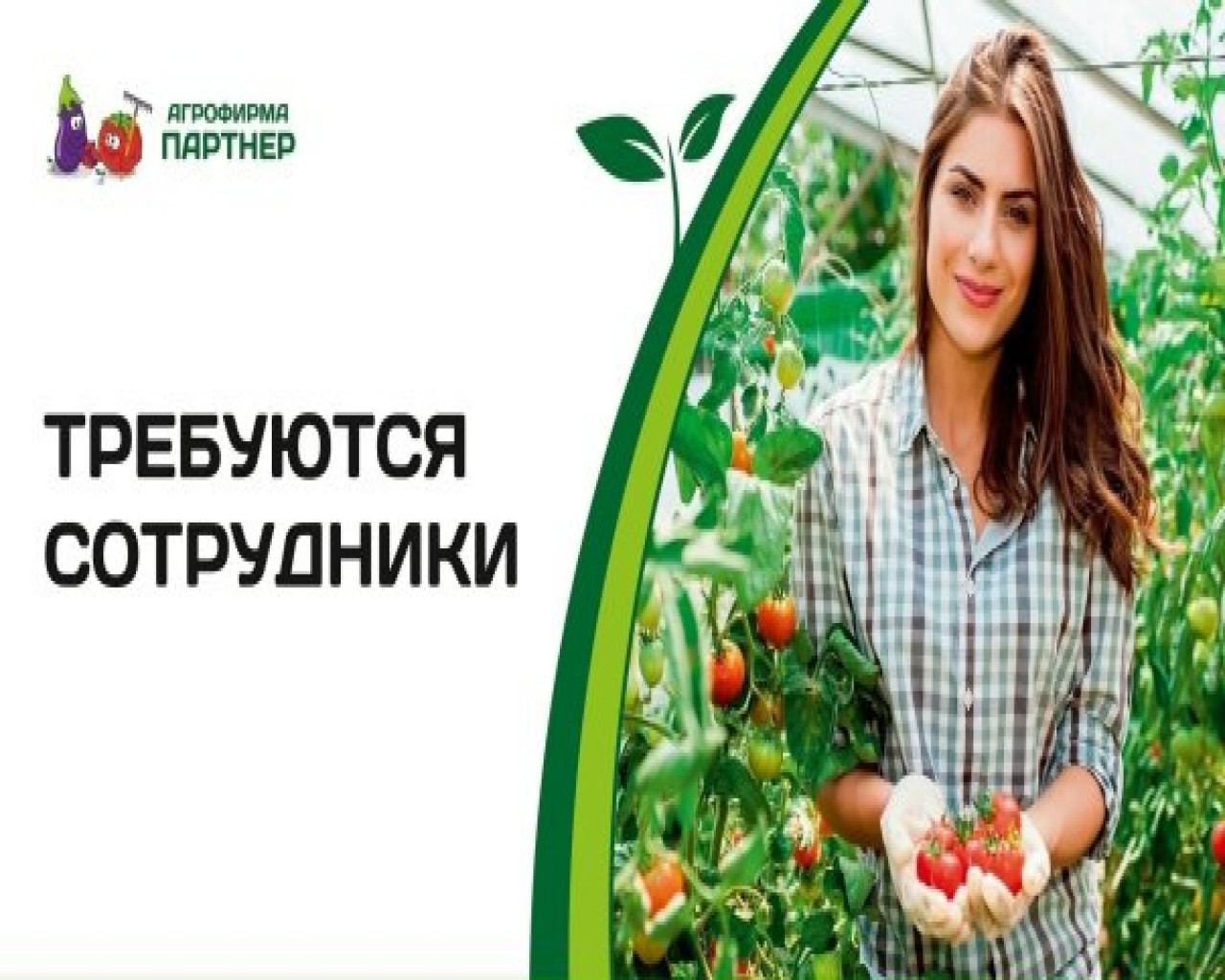 Изображение слайда