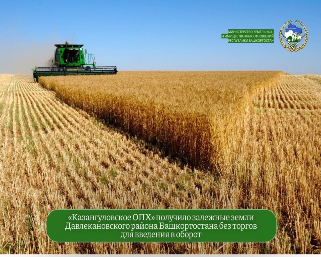 Изображение слайда