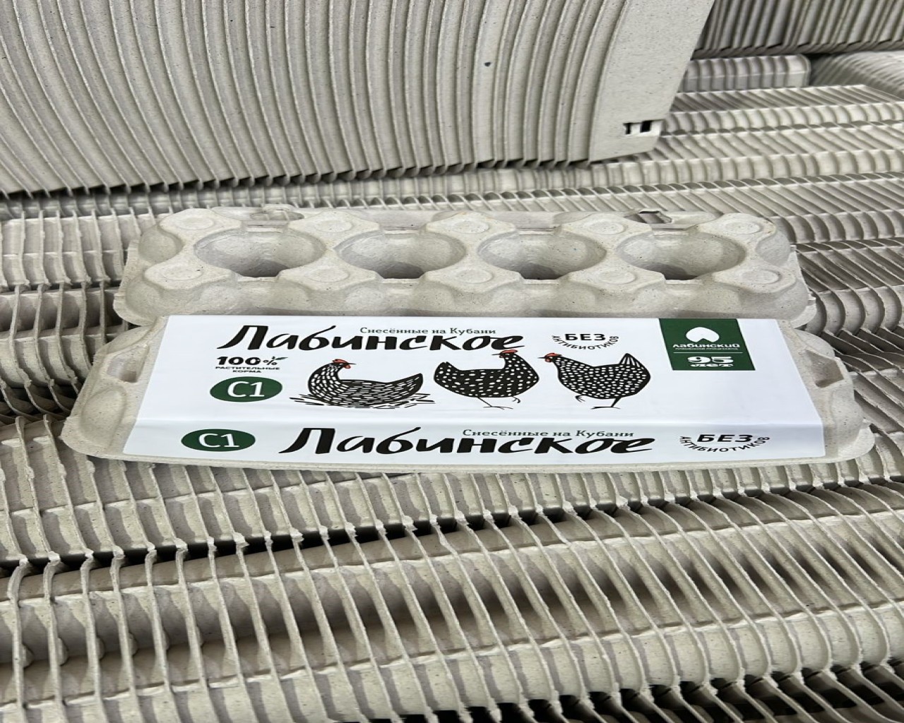 Изображение слайда