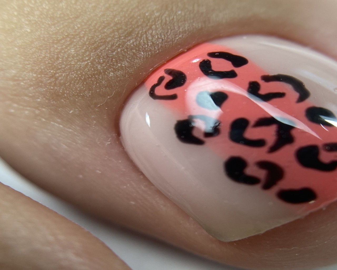 Изображение слайда