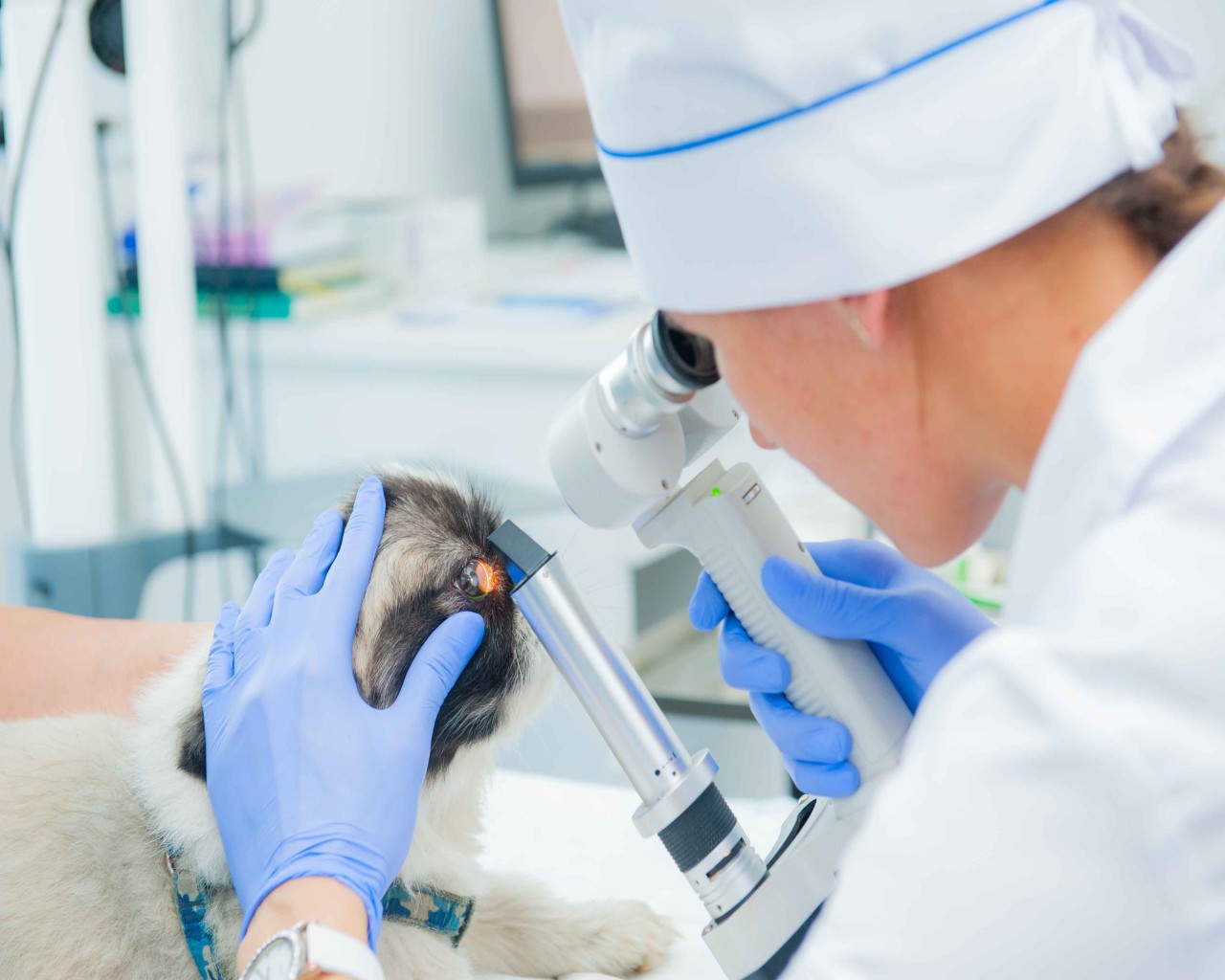 Изображение слайда