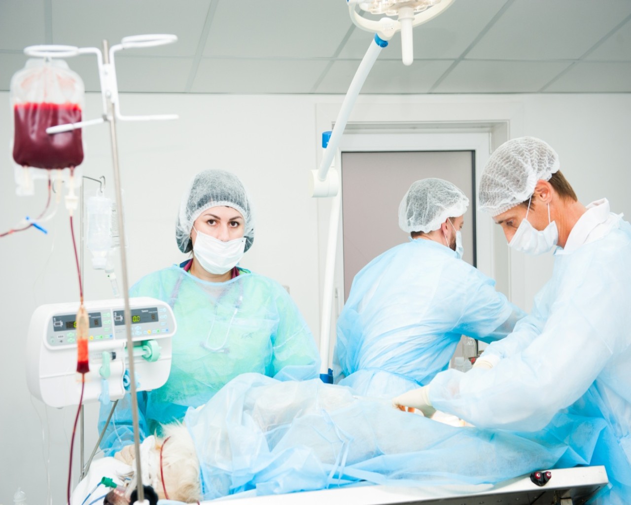 Изображение слайда