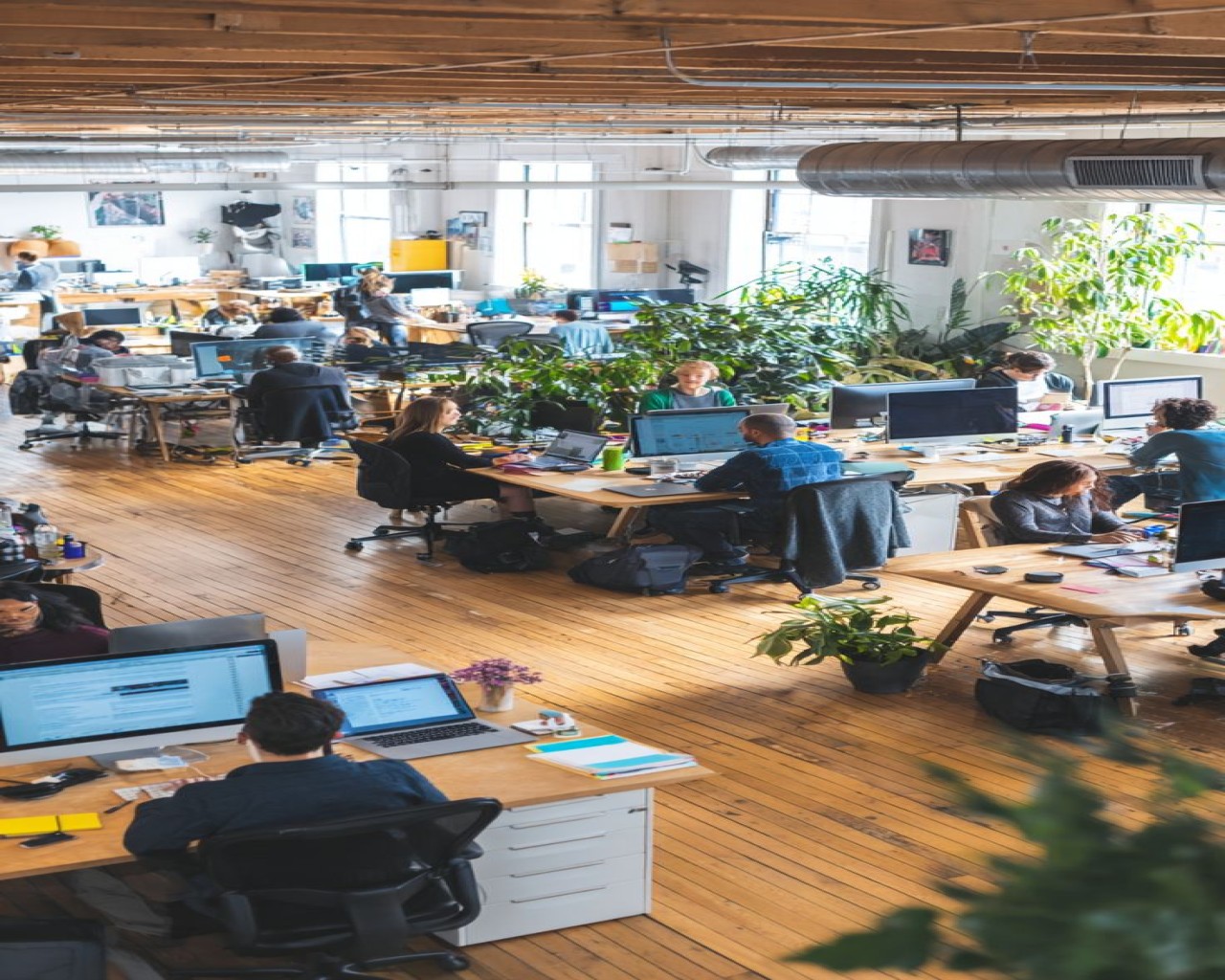 Изображение слайда