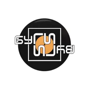 Логотип компании ИП Дружинин Виталий Вадимович
