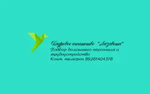 Логотип компании Лизавета