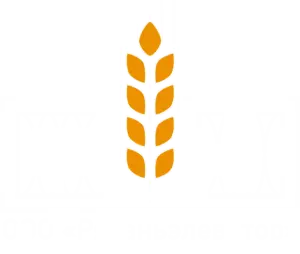 Логотип компании ООО "РЯЗАНЬЭЛЕВАТОР"