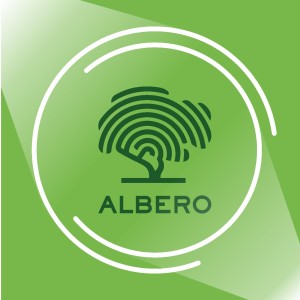 Логотип компании Фабрика межкомнатных дверей Albero