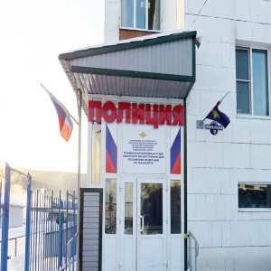 Логотип компании ТЫНДИНСКИЙ ЛО МВД РОССИИ НА ТРАНСПОРТЕ