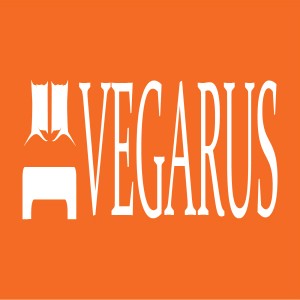 Логотип компании ООО "ПКП ВЕГА"