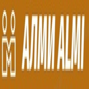 Логотип компании ООО "АЛМИ"