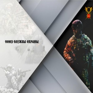 Логотип компании ООО ЧОП "ФЕНИКС"