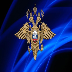 Логотип компании ПЕРМСКИЙ ЛО МВД РОССИИ НА ТРАНСПОРТЕ