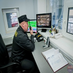 Логотип компании ИП Левицкая Елизавета Сергеевна