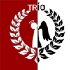 Логотип компании ИП Скребец Дмитрий Анатольевич