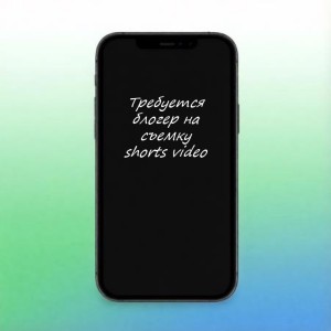 Логотип компании ИП Шишкин Владимир Сергеевич